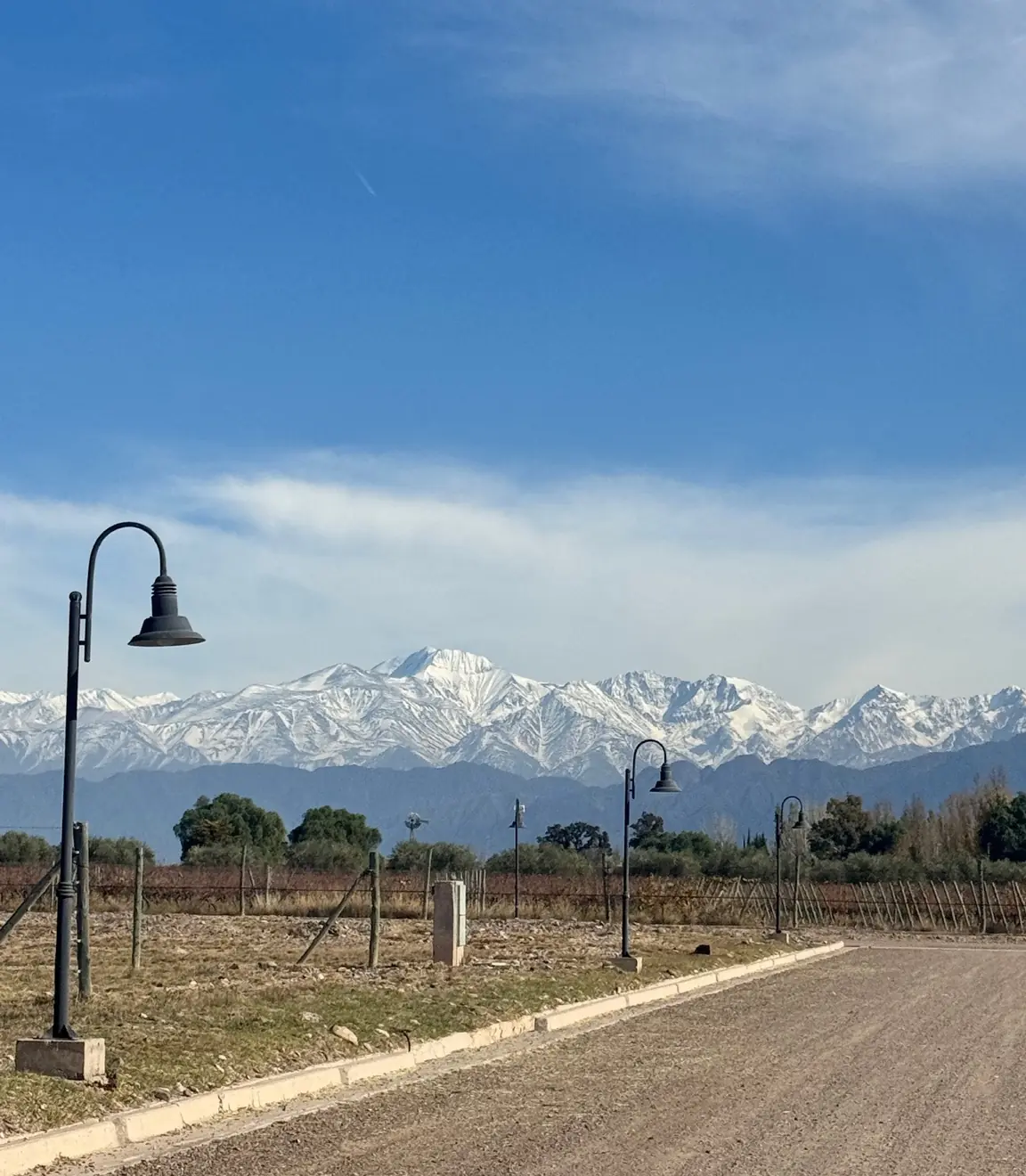 Luminarias de la calle con la cordillera nevada detrás