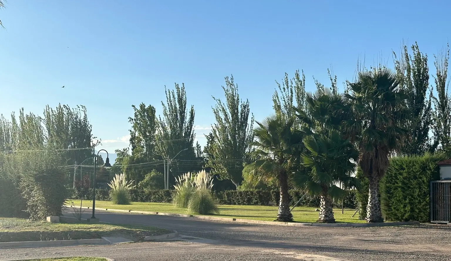 Espacio verde y calle del barrio